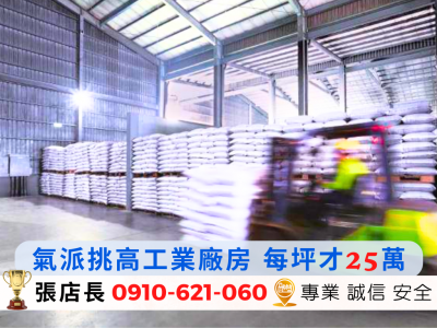 每坪才25萬!! 獨棟氣派挑高工業廠房 視意圖