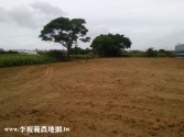 桃園市觀音區觀音蓮花季840坪農地農地 桃園市觀音區觀音蓮花季840坪農地農地